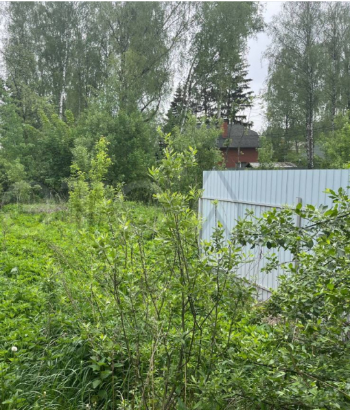 Земельный участок (для ведения личного подсобного хозяйства), 465 м2