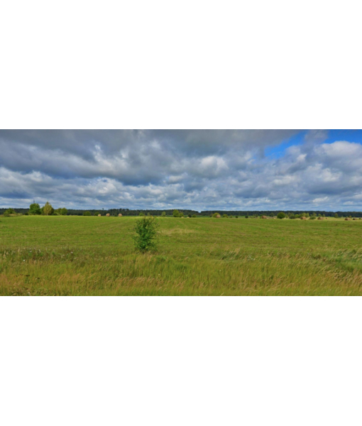 Земельный участок, 50000 м2