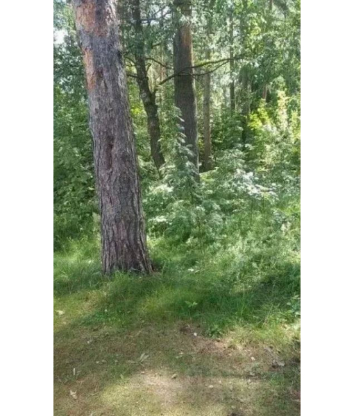 Земельный участок 71759 м2